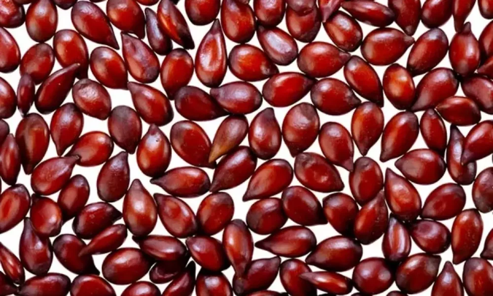 Don’t Throw Away Those Seeds: The Surprising Beauty Secret Hiding in Quince