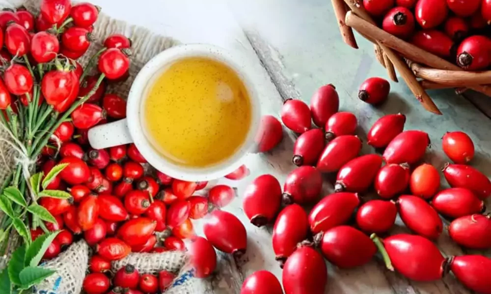 60 Times More Powerful Than a Lemon: How Rosehip Builds an Iron Shield for Your Heart, Immunity, and Digestion
