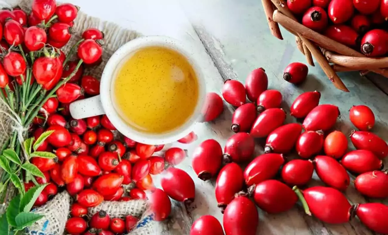 60 Times More Powerful Than a Lemon: How Rosehip Builds an Iron Shield for Your Heart, Immunity, and Digestion