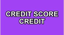 Credit Score vs Credit Report: Key Differences Explained for Beginners