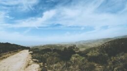 Grammarly vs QuillBot: Which AI Writing Assistant Is Right for You in 2026?
