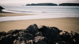 Tokenization of Real World Assets: How Blockchain Is Transforming Real Estate, Stocks, and Commodities