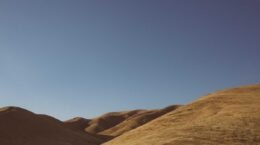 Zapier AI Agents: How to Automate Your Entire Workflow Without Coding